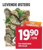 Fast - LEVEND
ØSTERS