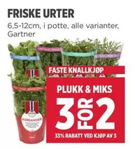 FRISKE URTER