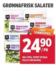 Fast - GRØNN&FRISK SALATER