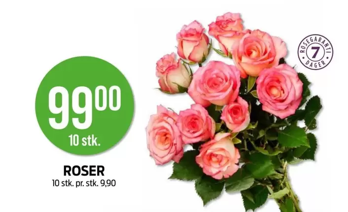 Roser - ROSER