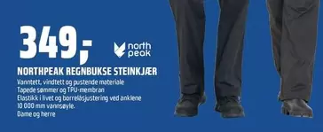 REGNBUKSE STEINKJÆR