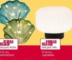 Shell-shaped LED lights