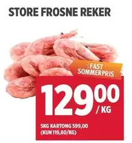 Fast - STORE FROGNE REKER
