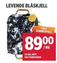 Fast - LEVende BLÅSKJELL