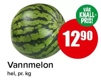 Vannmelon