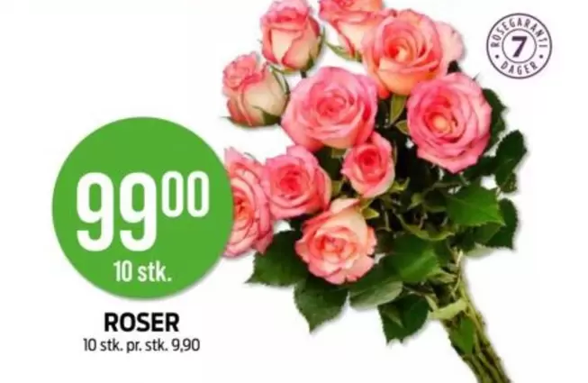 Roser - ROSER