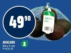 AVOCADO