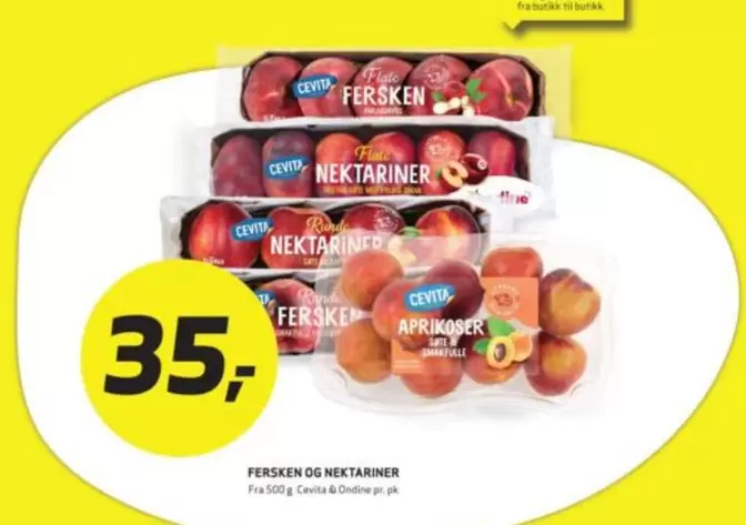 Ferskner og Nektariner