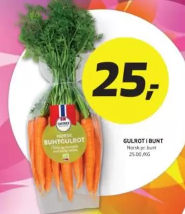 Norsk - GULROT I BUNT
