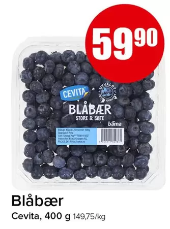 As - Blåbær