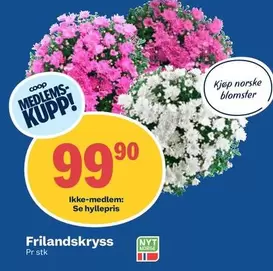 Frilandskrys