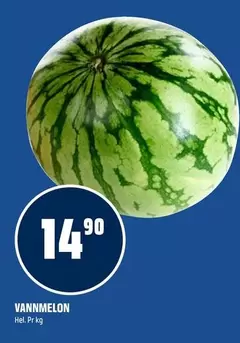 Vannmelon