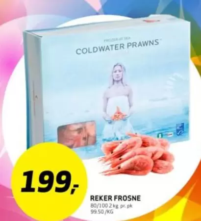 REKER FROSNE