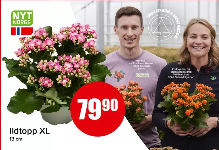 Ildtopp XL