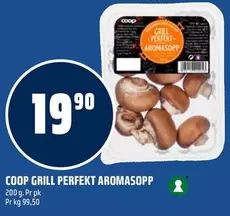 COOP GRILL PERFEKT AROMASOPP