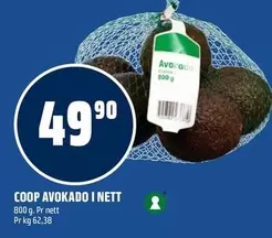 Avokado i nett