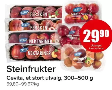 Bama - Steinfrukter