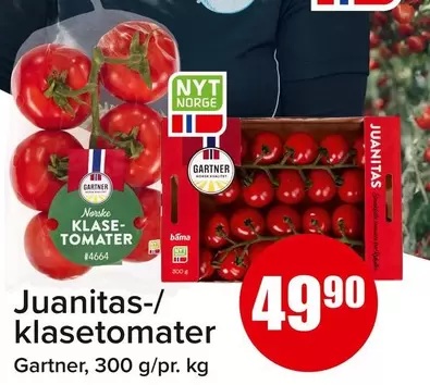 Norsk - Juanitas-/klasetomater #4664