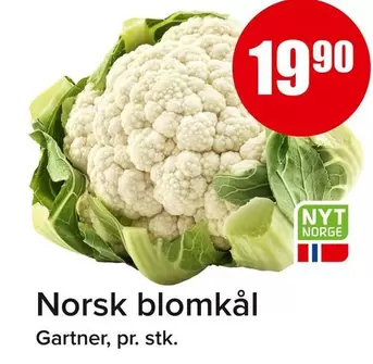 Norsk -  blomkål