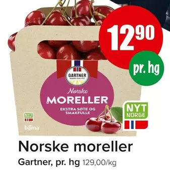 Bama - Norske Moreller