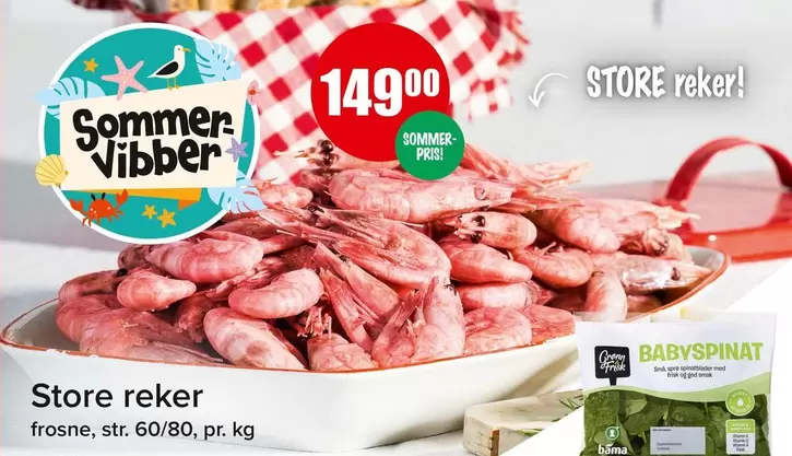 Bama - Store reker