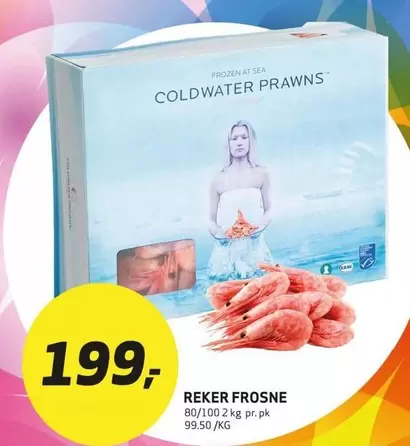 Frozen - REKER FROSNE