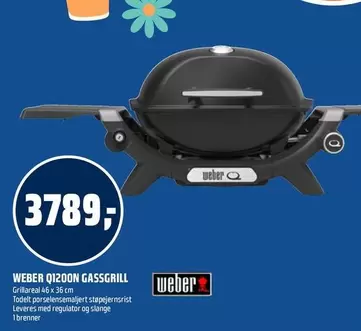 Weber - Q1200N GASSGRILL