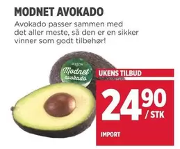 MODNET AVOKADO