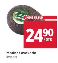 Modnet avokado