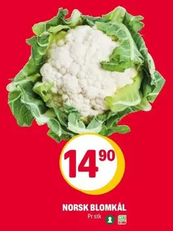 Norsk - NORSK BLOMKÅL