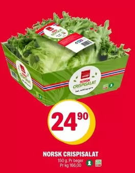Norsk - NORSK CRISPISALAT