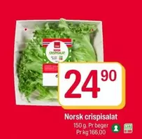Norsk - crispisalat