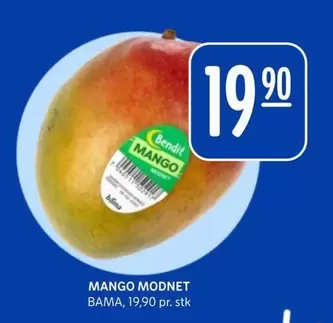 Bama - MANGO MODNET
