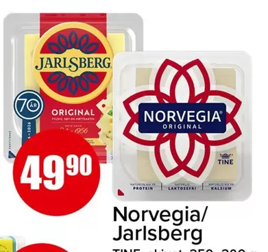 Protein - Norvegia/Jarlsberg
