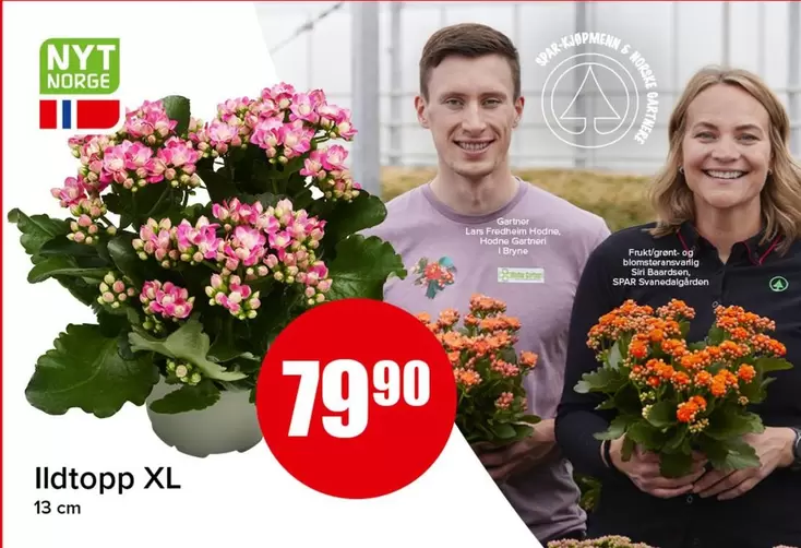Ildtopp XL