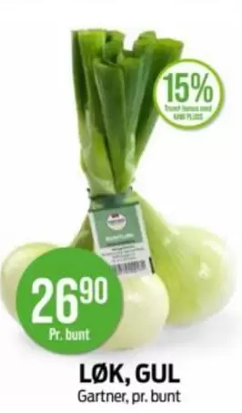 LØK, GUL
