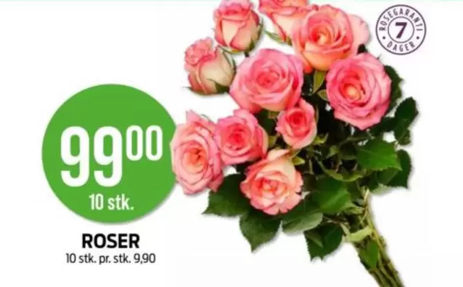 Roser - ROSER