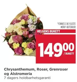 Roser - Chrysanthemum, , Grenroser og Alstromeria