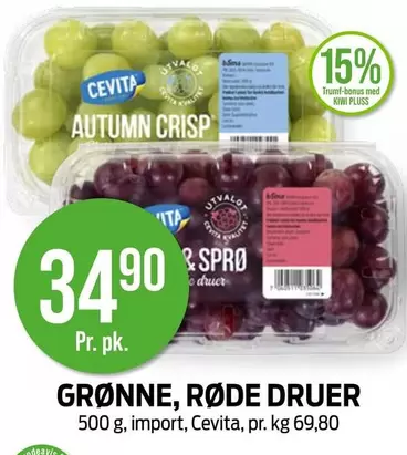 GRØNNE, RØDE DRUER