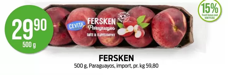 Fersken Paraguayos