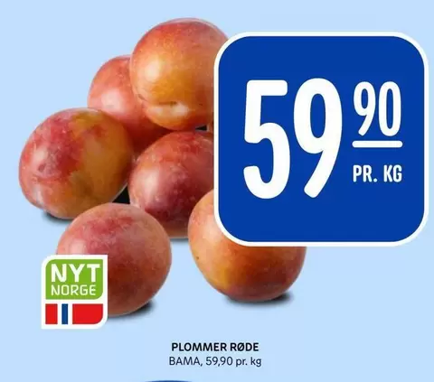Bama - PLOMMER RØDE