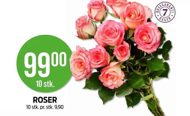 Roser - ROSER