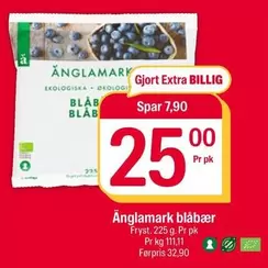 Extra - Änglamark blåbær