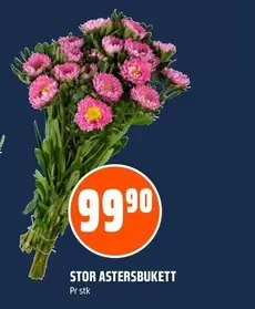 STOR ASTERSBUKETT