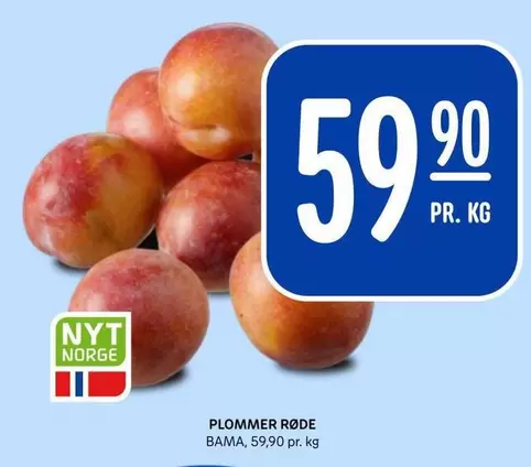 Bama - PLOMMER RØDE