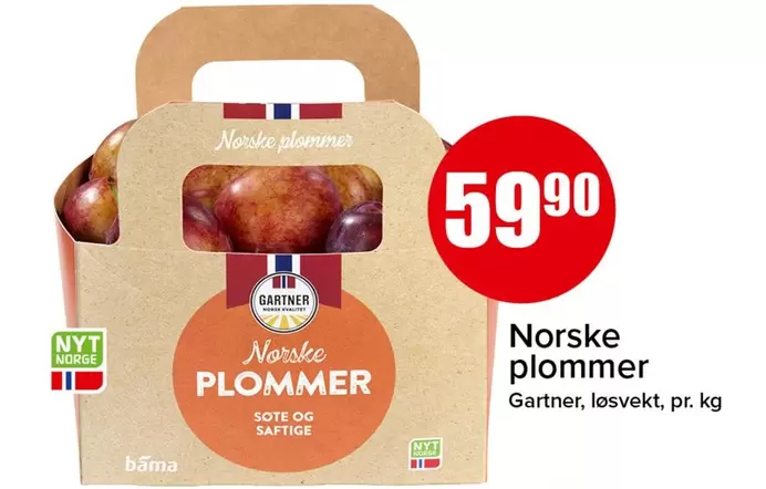 Norsk - E Plommer
