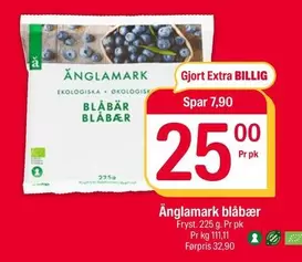 Extra - Blåbær