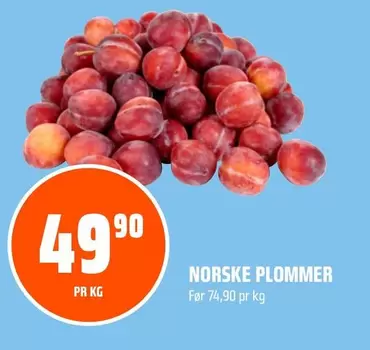 NORSKE PLOMMER