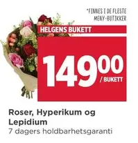 Roser - Helgens Bukett