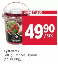 Tyttebær